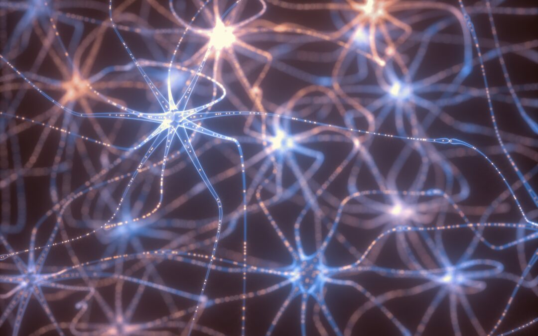 The Neuroscience of Donor Emotion: Why Logic Never Wins Hearts